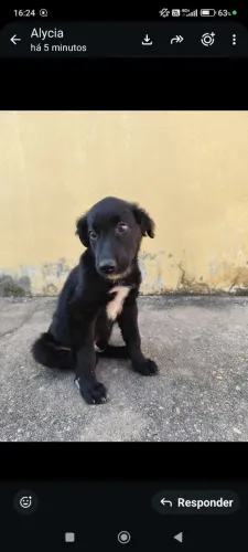 Doação