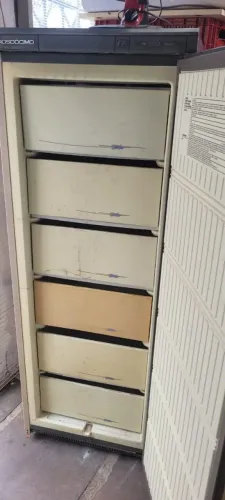FREEZER VOLTAGEM 110