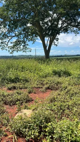 Vendo Ágio de Lote 250m²