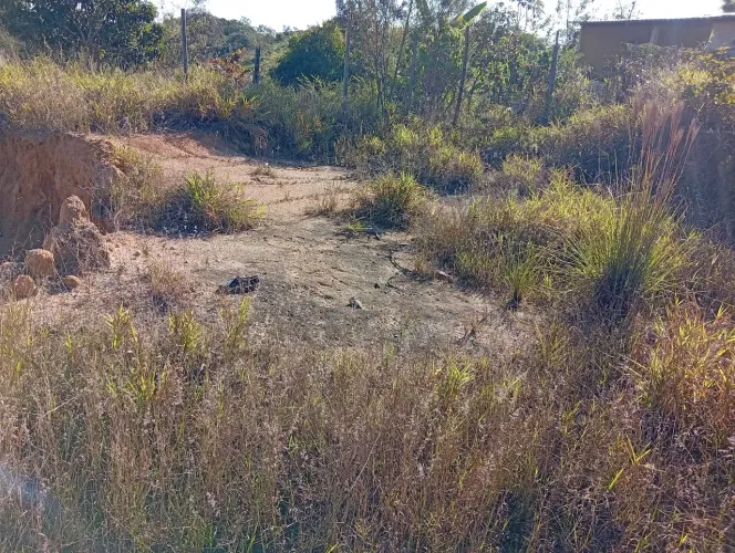 Vendo terreno do lado da vila Zacarias perto de comércio asfalto pronto para construir