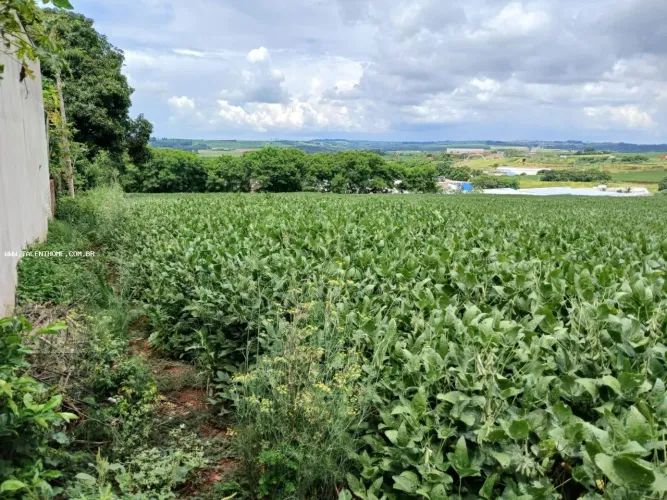 Terreno para Venda em Marialva, Centro