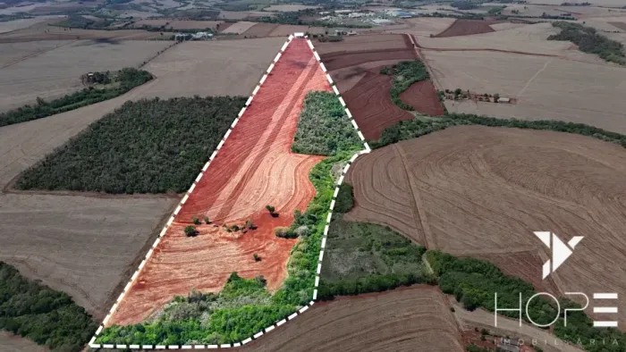 Sítio agrícola à venda com 21.5 alqueires - 100% mecanizado - 100% plantado - alta produti