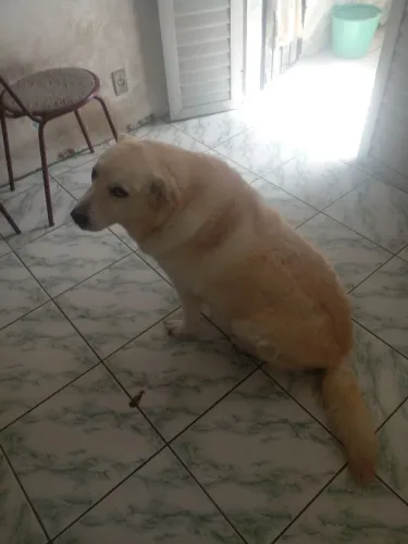 Doação