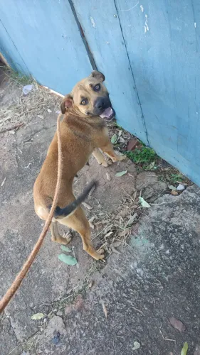 Doação