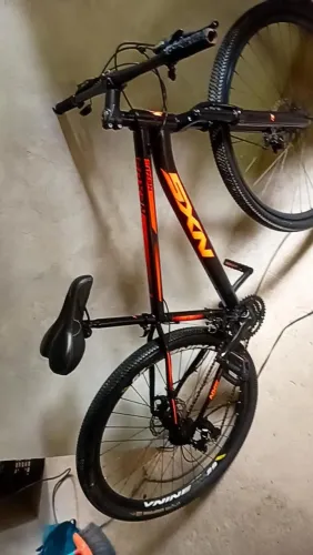 Aro29