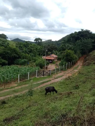 Chácara/Sítio em São José do Jacuri - MG