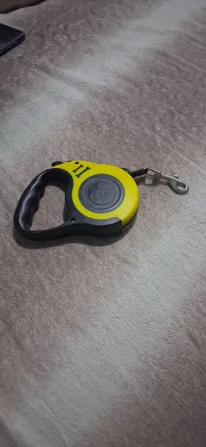 Guia retratio para cachorro