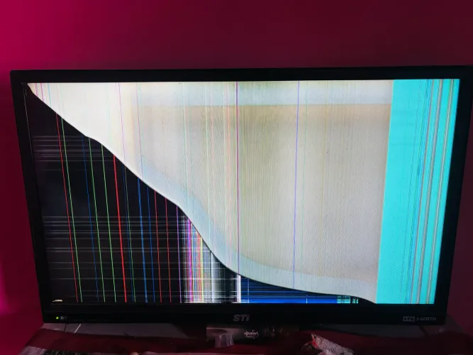 Televisão