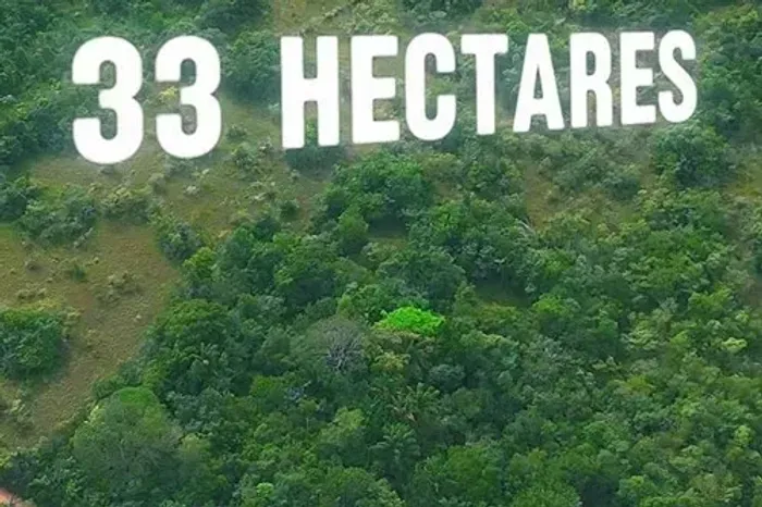 Vendo Terreno -33 hectares (330.000 m2) - Benfica - Benevides - PA