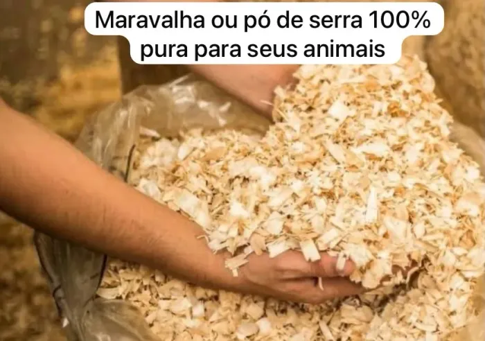 Maravalha a venda top po de Serra