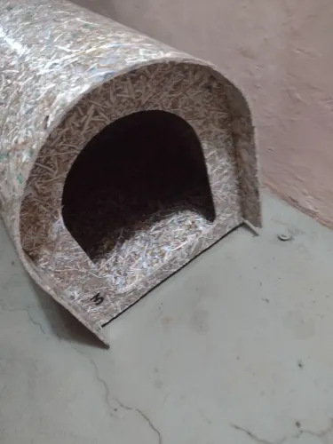 Casinha cachorro tamanho 3