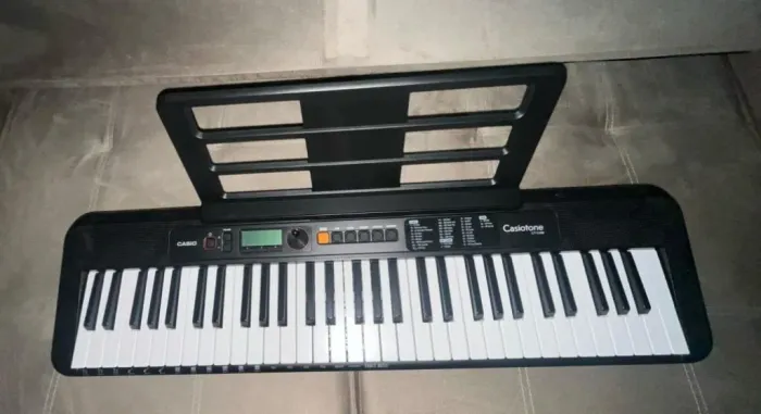 Cassiotone ct-s200