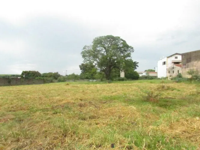 Terreno para alugar, 5000 m² por R$ 6.000,00/mês - Nossa Senhora de Fátima - Piracicaba/SP