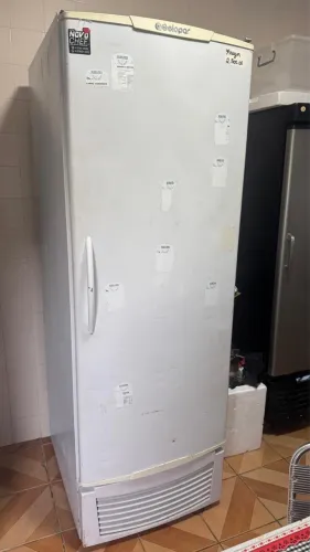 Freezer vertical