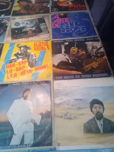 Coletânea de Discos de Vinil Raul Seixas
