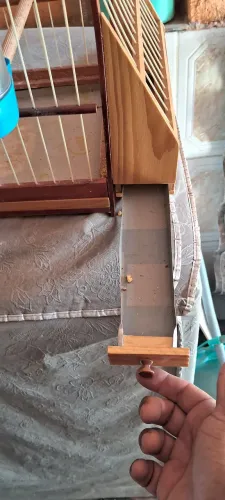 Gaiola pássaros (sabiá)