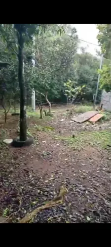 Vendo terreno bairro Belém velho rua sem saúde lugar tranquilo