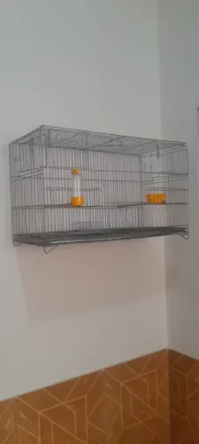 Gaiola de Arame