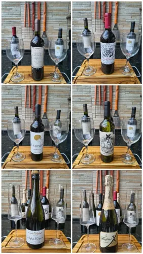 Vinhos Argentinos