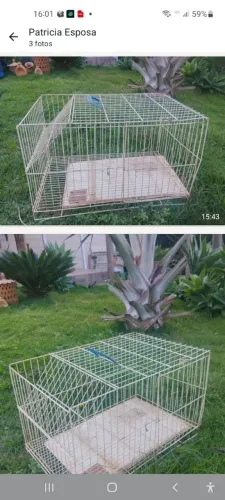 Gaiola