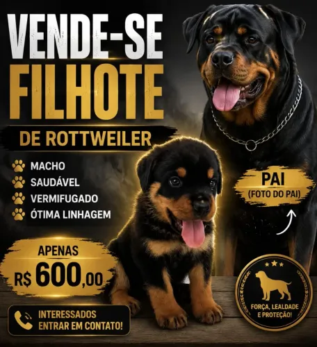 Filhote pra vender 