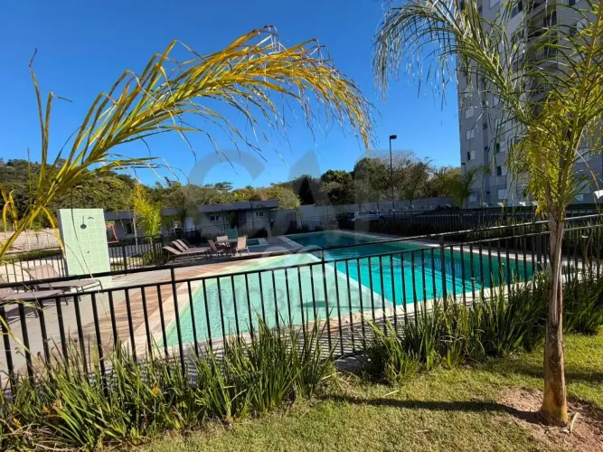 Apartamento para locação, Jardim Paraíso, Jaguariúna, SP