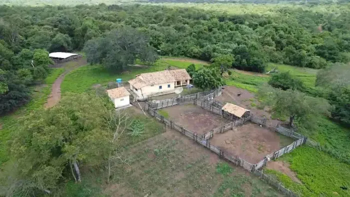 fazenda com 5 mil hectares no estado do Piauí são Miguel do tapuio