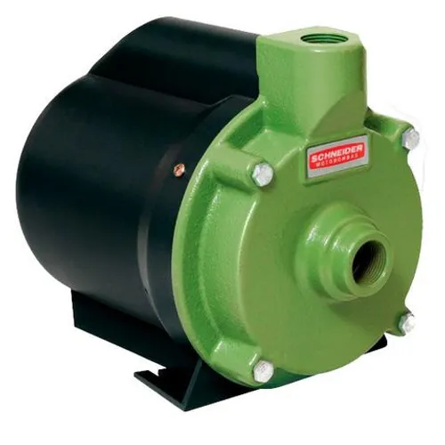 Motobomba Elétrica Centrífuga 1 Polegada 1 cv BCR 2010 Schneider 220V