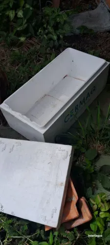 Caixa de isopor