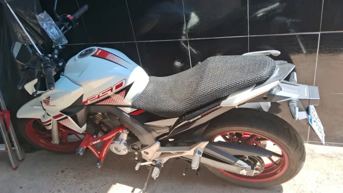 Wilson divino Duarte filho