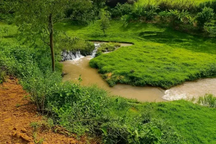  Sítio Área com rio - Domingos Martins, troco, aceito propostas, 5.000m2 R$ 150 mil