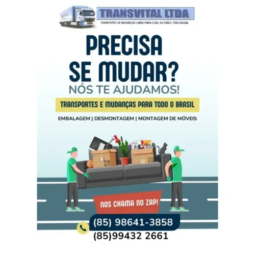 TRANSVITAL MUDANÇAS