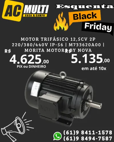 Motor Trifásico 12,5cv 2P 220/380/440V IP-56 | M733620A00 | Morita Motors by Nova