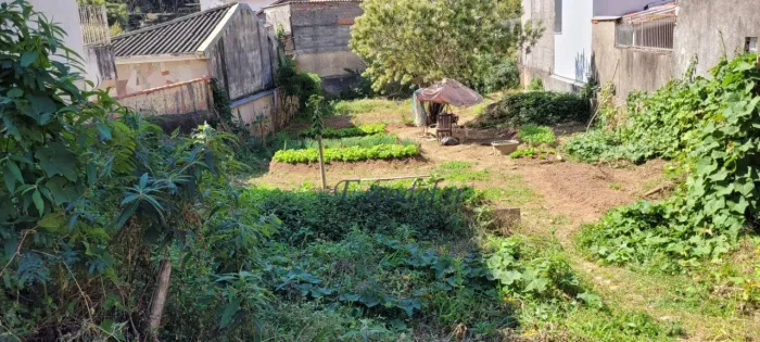 Terreno à venda, 480 m² por R$ 580.000,00 - Horto Florestal - São Paulo/SP