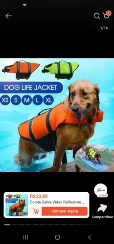 Colete salva vidas pet