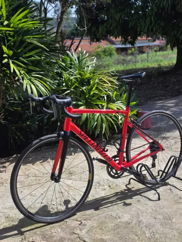 Bicicleta Specialized speed allez tam 56