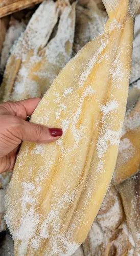 Peixes Salgado 