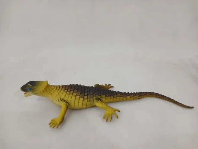 Miniatura lagarto armadillo (ou lagarto-de-cauda-espinhosa).29cm