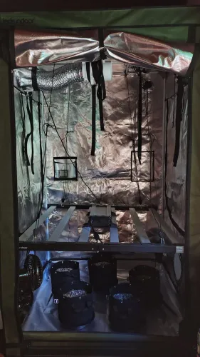 Estufa Grow Indoor 120x120x200 Elite E120 - Kit Completo c/ LED 650W + Nota