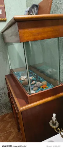 Aquário lindo em madeira