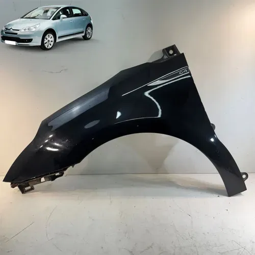 Paralama C4 Pallas Ou Hatch 2009 2014 Original Esquerdo