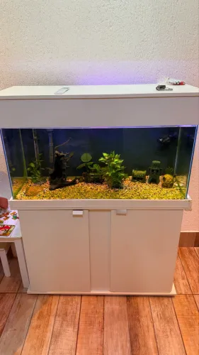 Aquário 200 litros com armário