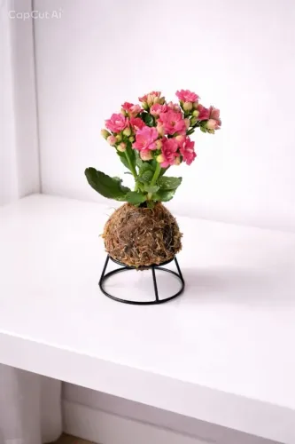 Suporte decorativo para mini kokedama