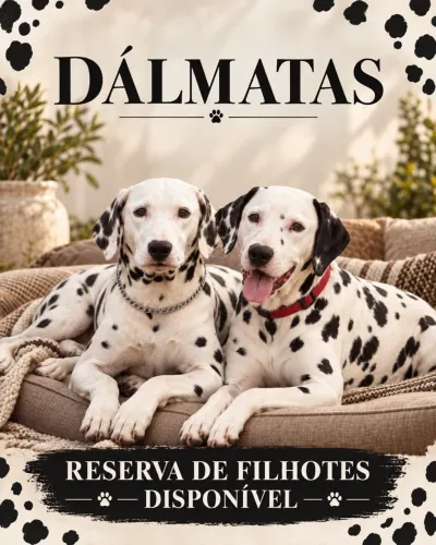 FILHOTES DE DÁLMATAS