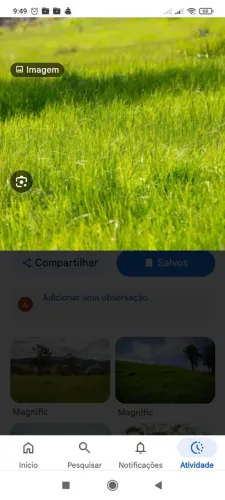Chácara a venda