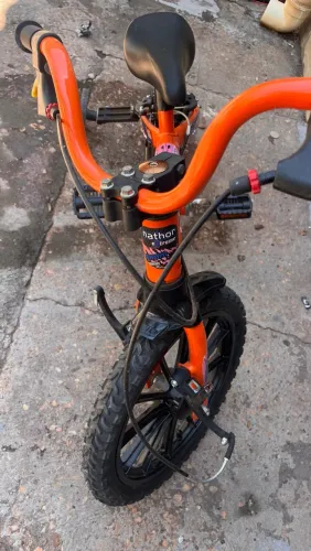 Bicicleta Infantil Aro 16 Até 6 Anos Com Rodinhas