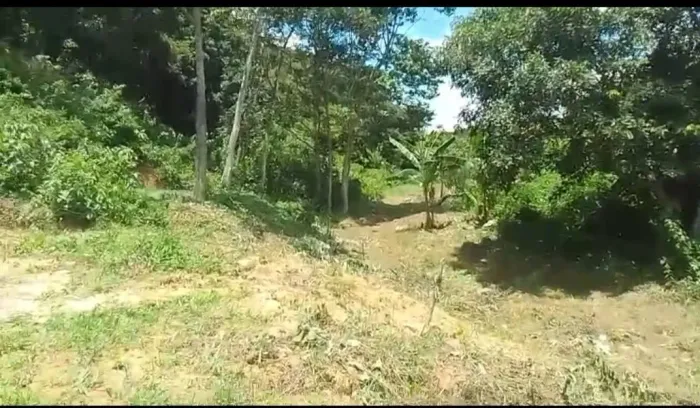 Terreno em Pacoti - Ceará