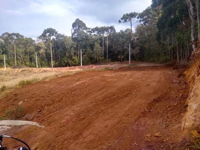 Terreno monde verde MG
