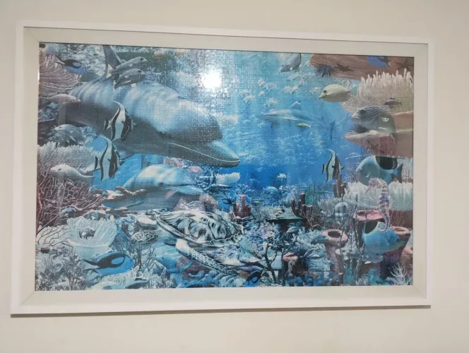 Quadro (imagem é um quebra cabeça de 3000 peças)