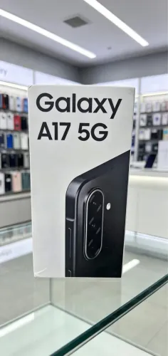 A17